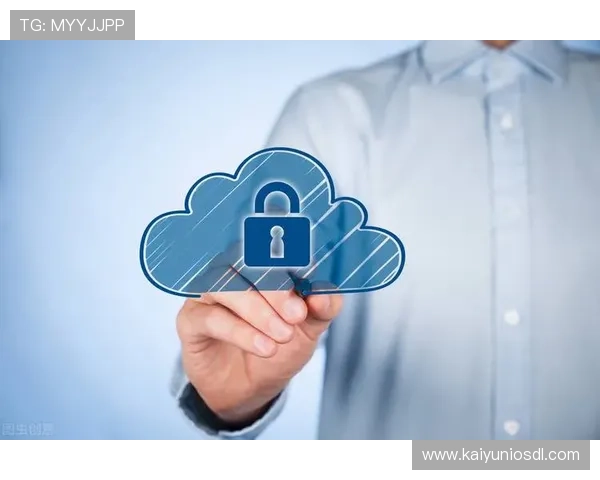 开云网页app安全性分析及隐私保护措施，保障玩家个人信息安全